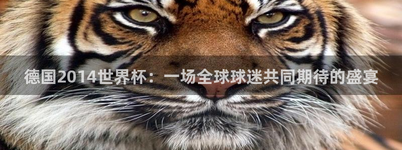 2026年足球世界杯赛程时间表：德国2014世界杯：一场全球球迷共同期待的盛宴