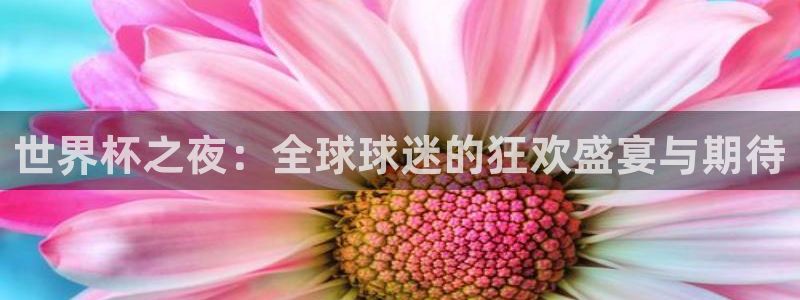 2026世预赛赛程表：世界杯之夜：全球球迷的狂欢盛宴与期待