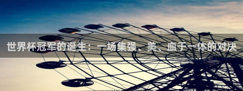 世界杯直播在线观看入口：世界杯冠军的诞生：一场集强、美、血于一体的对决