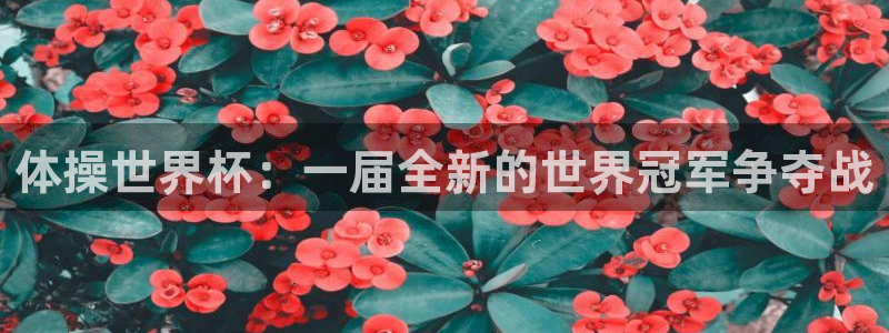 2026世界杯亚洲区预选赛赛程：体操世界杯：一届全新的世界冠军争夺战