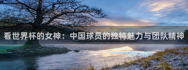 世界杯附加赛赛程表：看世界杯的女神：中国球员的独特魅力与团队精神