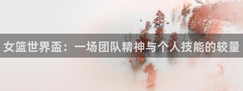 2006年世界杯：女篮世界盃：一场团队精神与个人技能的较量