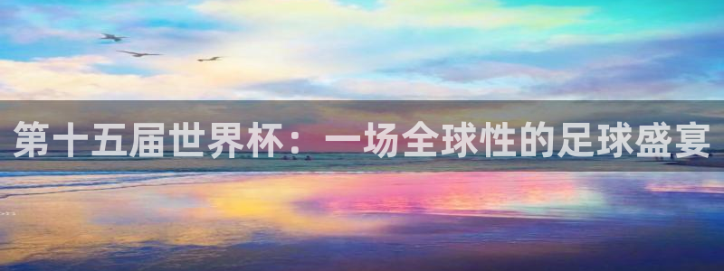 世界杯足球赛：第十五届世界杯：一场全球性的足球盛宴