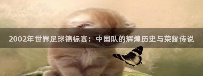 世界杯直播高清：2002年世界足球锦标赛：中国队的辉煌历史与荣耀传说