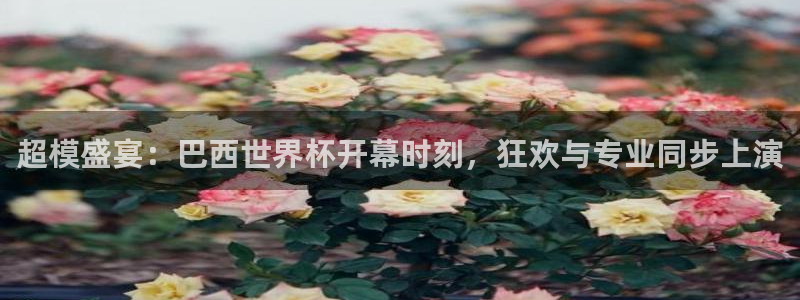 足球世界杯赛程：超模盛宴：巴西世界杯开幕时刻，狂欢与专业同步上演