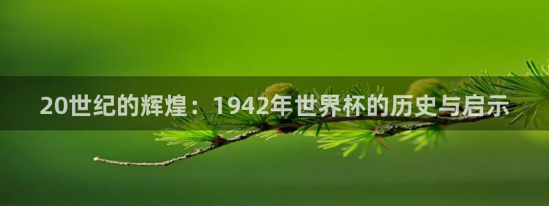 2026年世界杯对阵图：20世纪的辉煌：1942年世界杯的历史与启示