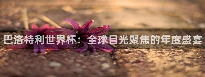 英足总杯直播：巴洛特利世界杯：全球目光聚焦的年度盛宴