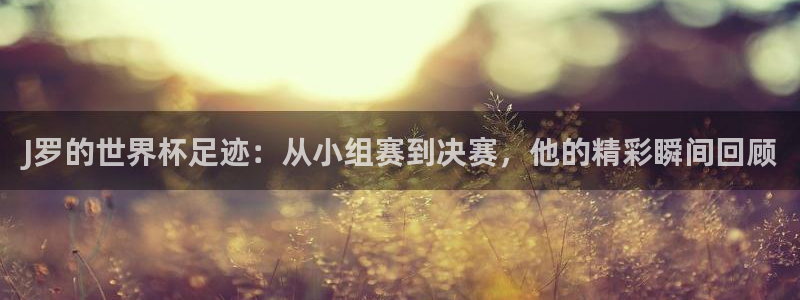 世界杯欧洲预选赛赛程：J罗的世界杯足迹：从小组赛到决赛，他的精彩瞬间回顾