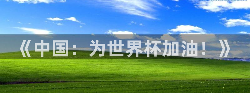 足球杯：《中国：为世界杯加油！》