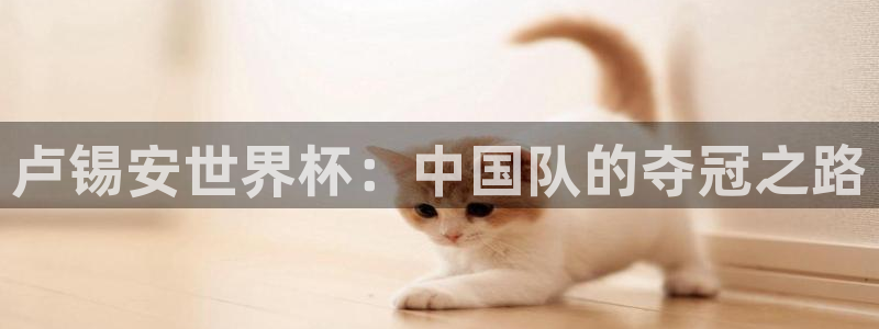 英格兰联赛杯直播：卢锡安世界杯：中国队的夺冠之路