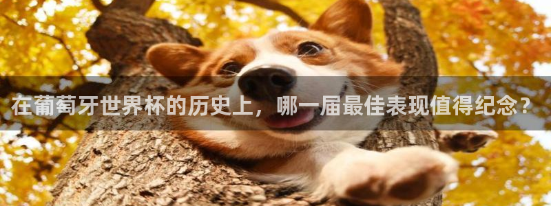 今年的世界杯：在葡萄牙世界杯的历史上，哪一届最佳表现值得纪念？